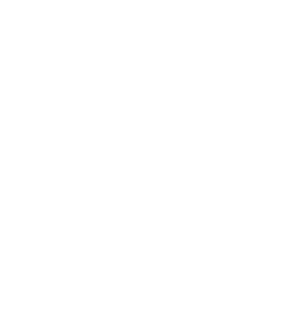 Hanoi Goodies Logo White